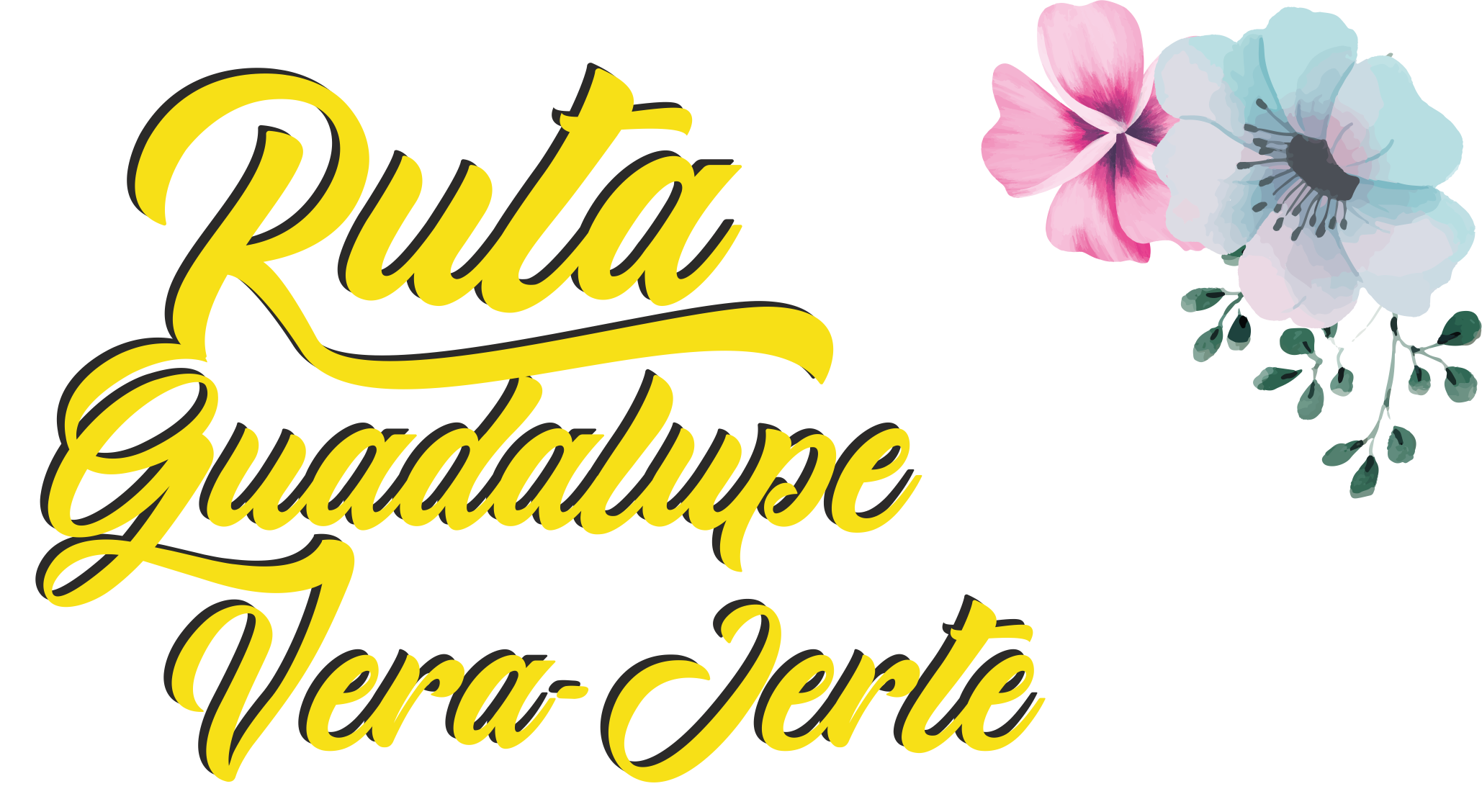 Opciones Ruta Guadalupe-Vera-Jerte